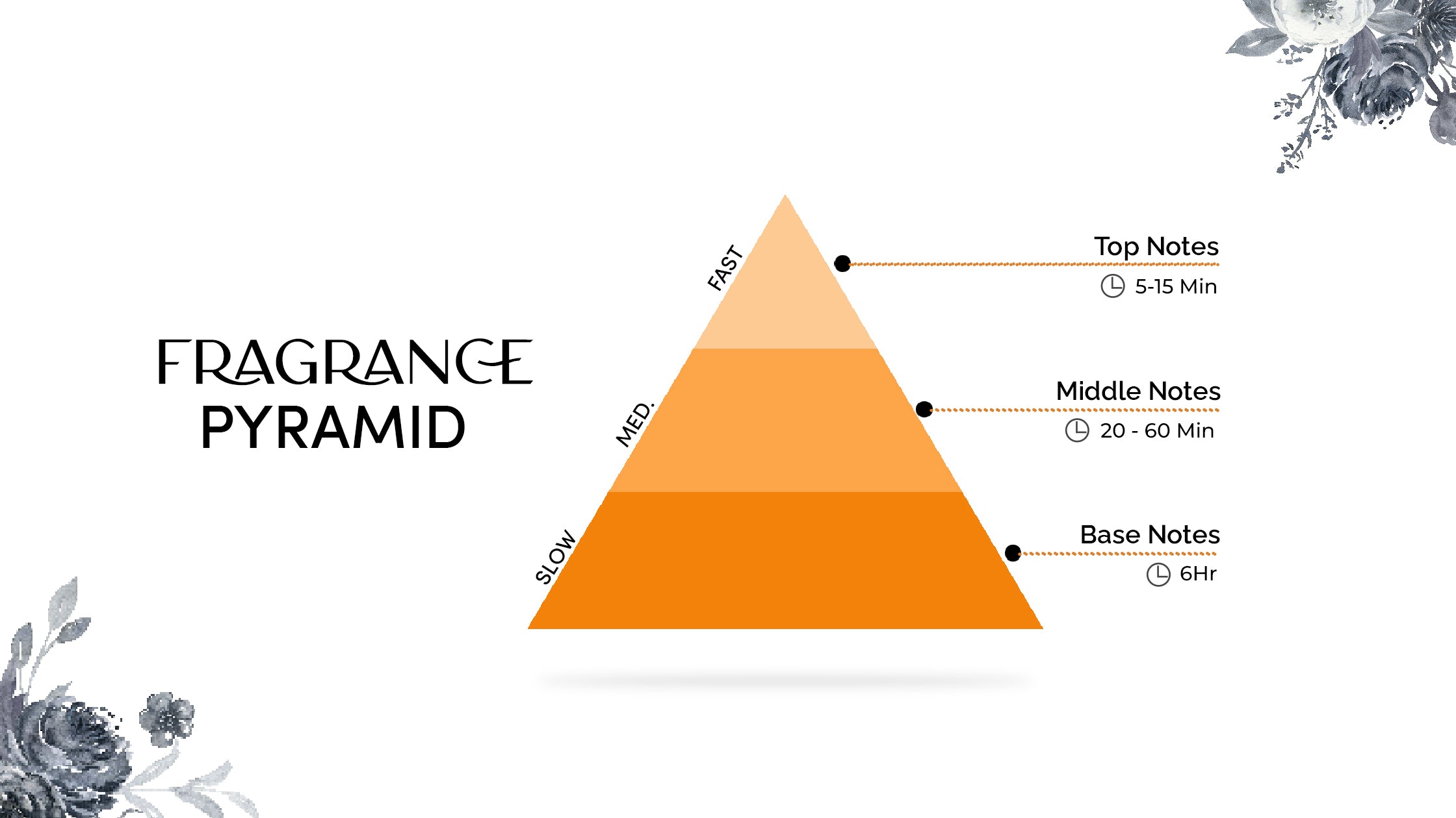 Fragrance 101: A Beginner's Guide to Perfume Notes