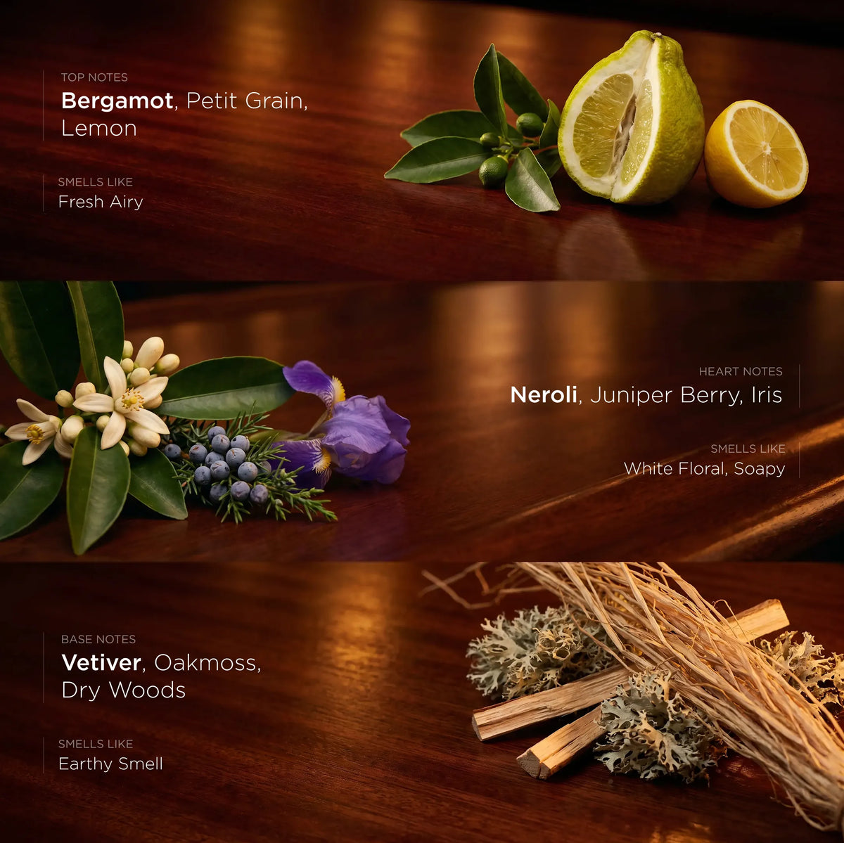 Afterparty - Make Your Own Perfume