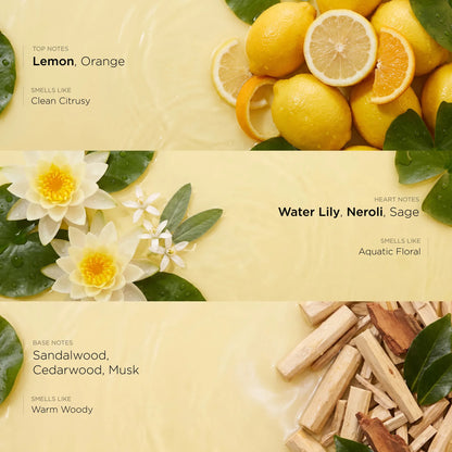 Aqua Game - Make Your Own Perfume