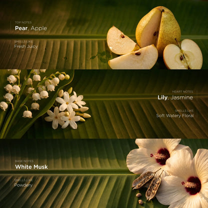 Madras Malar - Make Your Own Perfume