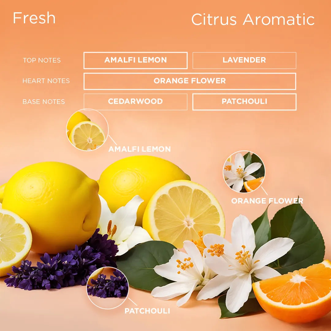 Notes Citrus Perfume Men Titanium Perfume 100 Ml Citrus, Spicy