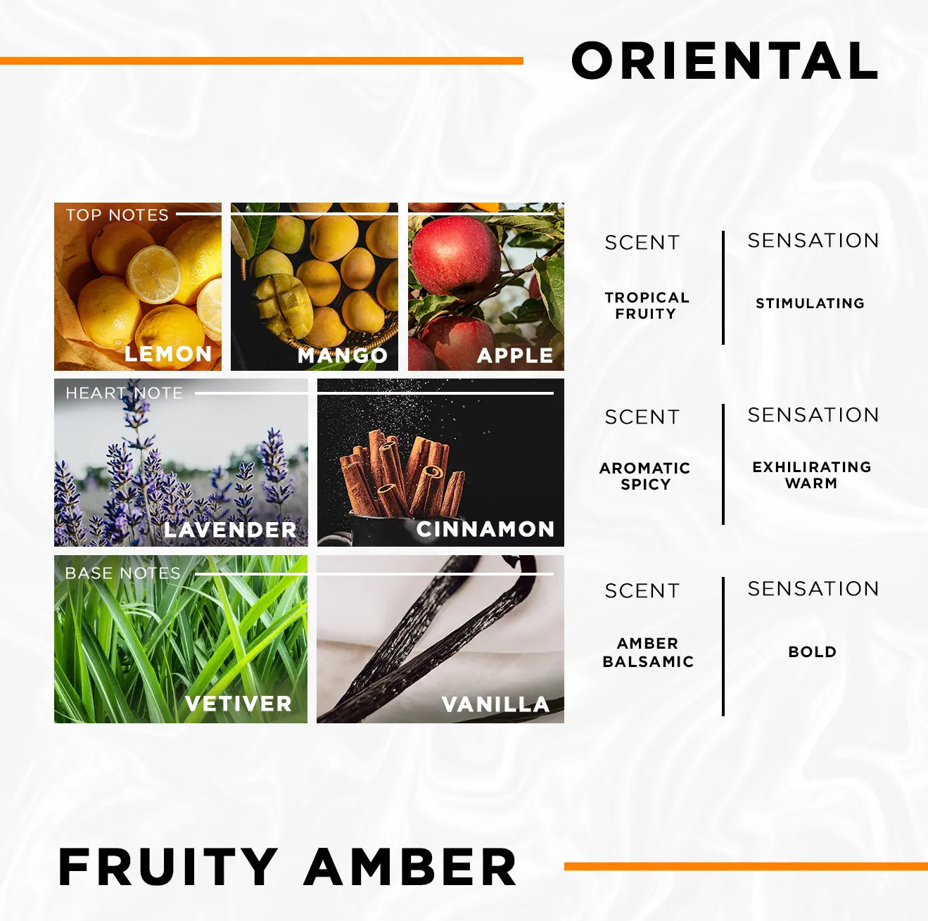 MYOP | Perfume | Fireball | Fragrance Notes